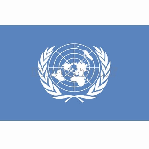 Bandiera delle Nazioni Unite ONU 