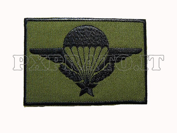 Patch Brevetto Paracadutista Militare Francese Toppa Verde Bassa Visibilita' Ricamata con Velcro