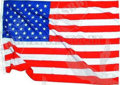 Bandiera Stati Uniti Presidente 90x60cm - Bandiera Americana In Poliestere Con Occhielli Metallici - 2