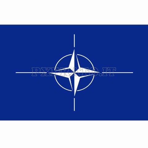 Bandiera NATO North Atlantic Treaty Organization