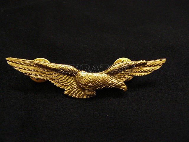 Schermo Del Distintivo Della Bandiera Americana Con L'aquila Che Schermo Del Distintivo Della Bandiera Americana Con L'aquila Che